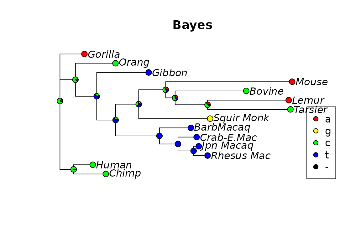 Fig 5. Ancestral reconstruction using (empirical) Bayes.
